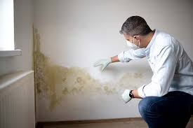 Best Mold Prevention Services  in USA